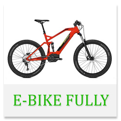 ebike_fully